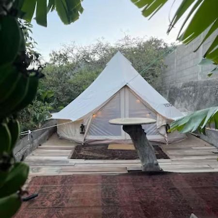 Yurt In Avocado Garden Ξενοδοχείο Güimar Εξωτερικό φωτογραφία