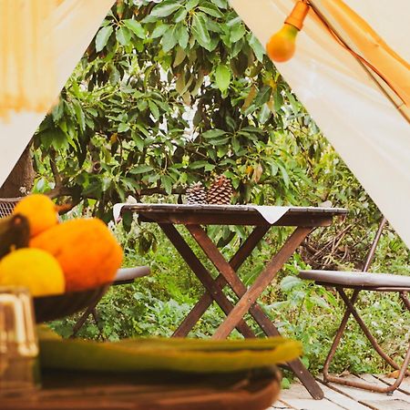 Yurt In Avocado Garden Ξενοδοχείο Güimar Εξωτερικό φωτογραφία