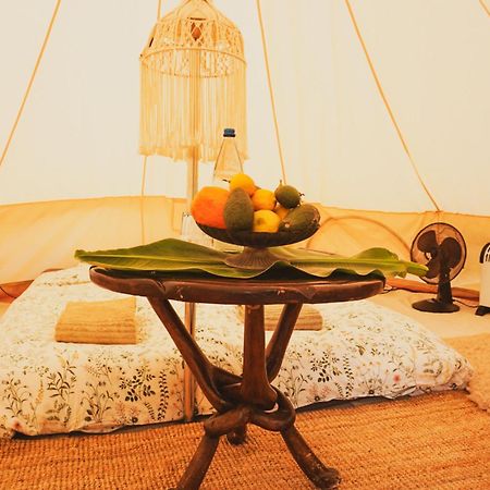 Yurt In Avocado Garden Ξενοδοχείο Güimar Εξωτερικό φωτογραφία