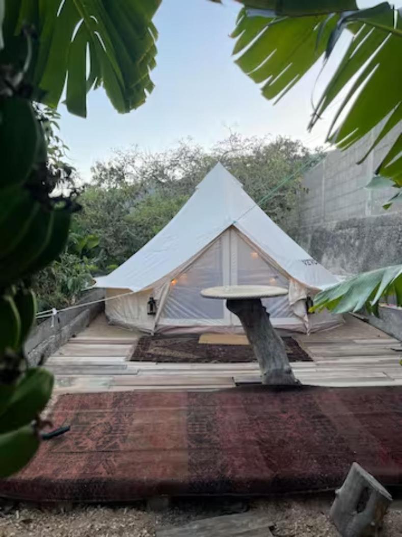 Yurt In Avocado Garden Ξενοδοχείο Güimar Εξωτερικό φωτογραφία