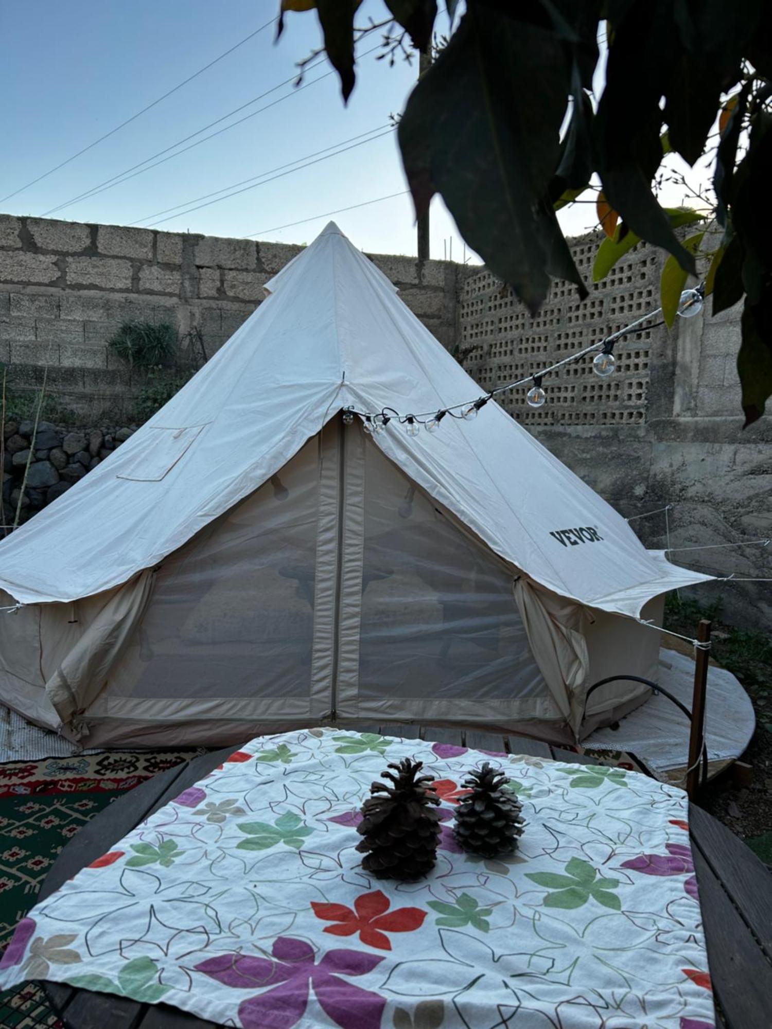 Yurt In Avocado Garden Ξενοδοχείο Güimar Εξωτερικό φωτογραφία