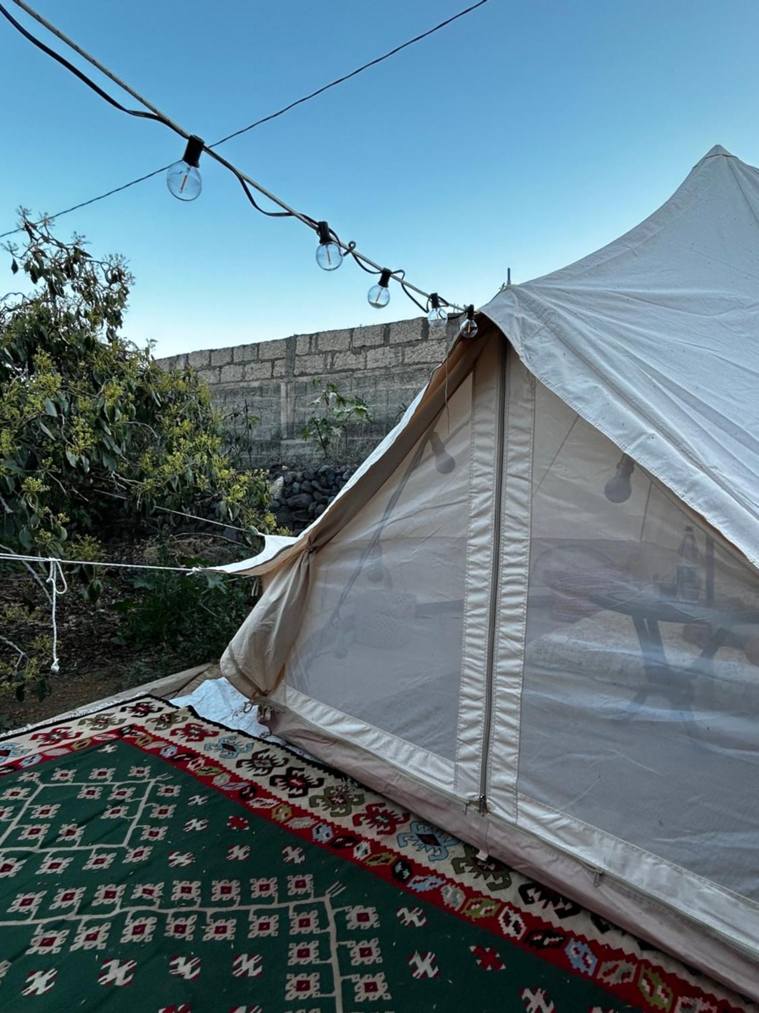 Yurt In Avocado Garden Ξενοδοχείο Güimar Εξωτερικό φωτογραφία