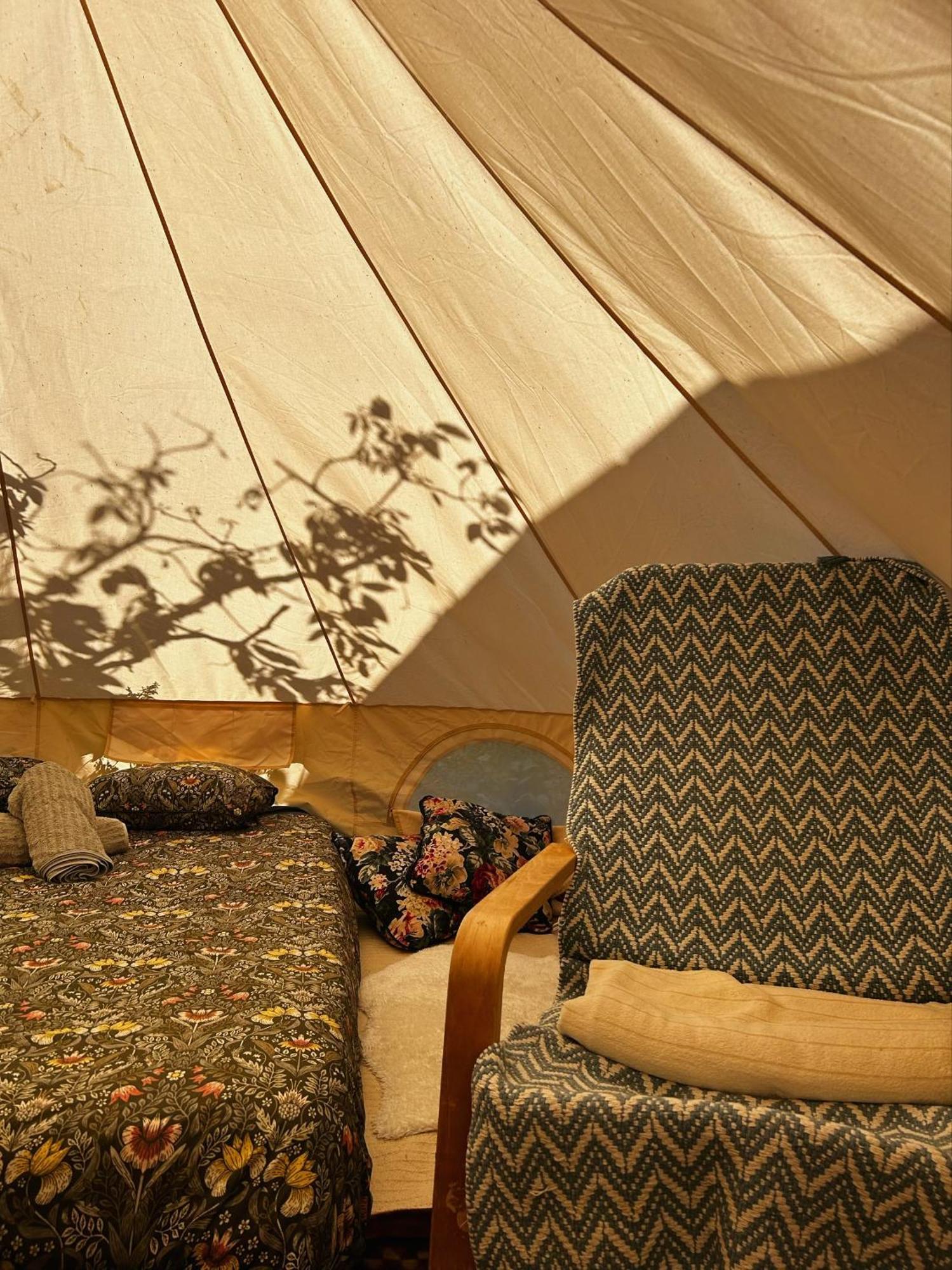 Yurt In Avocado Garden Ξενοδοχείο Güimar Εξωτερικό φωτογραφία