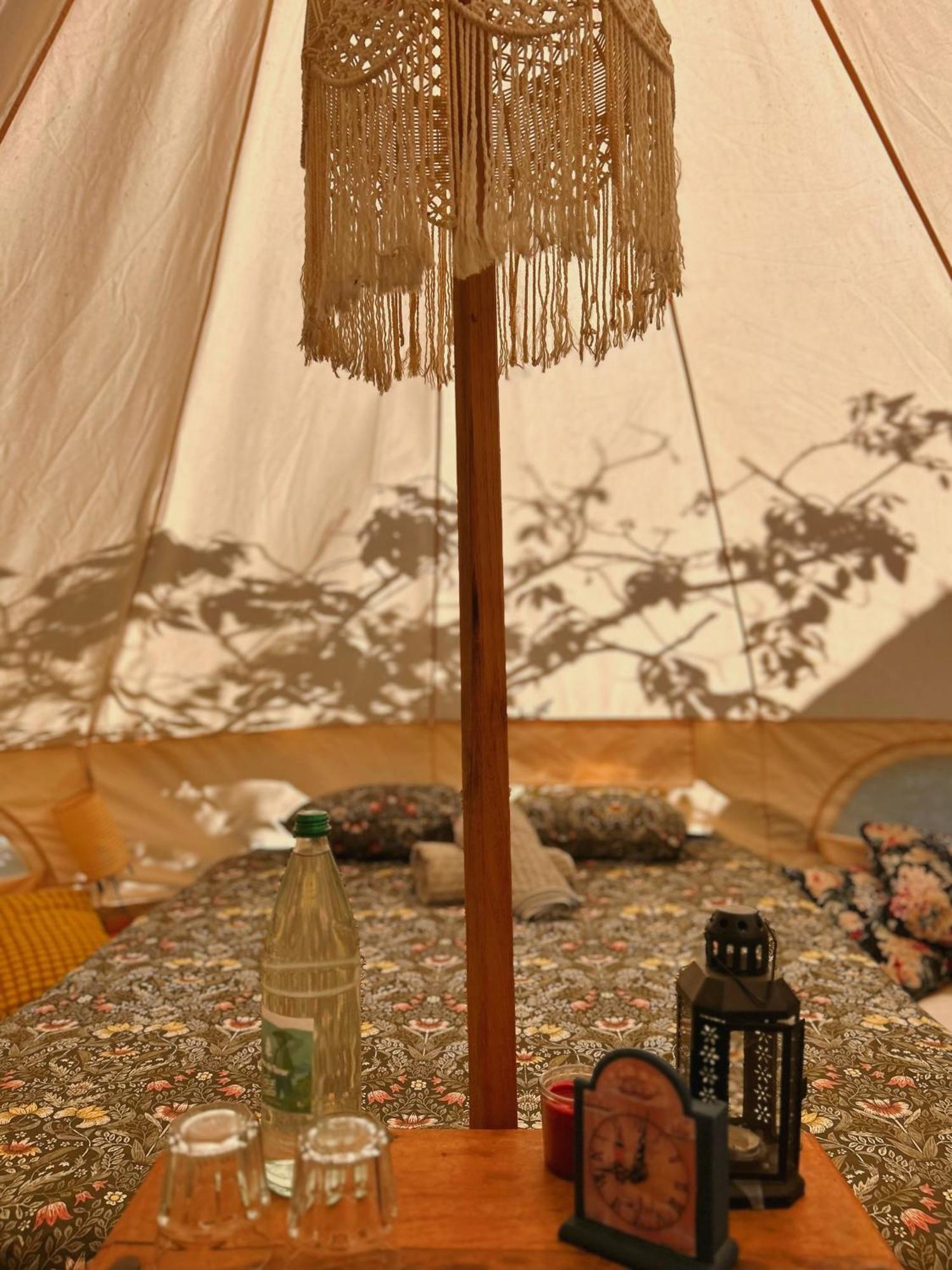 Yurt In Avocado Garden Ξενοδοχείο Güimar Εξωτερικό φωτογραφία