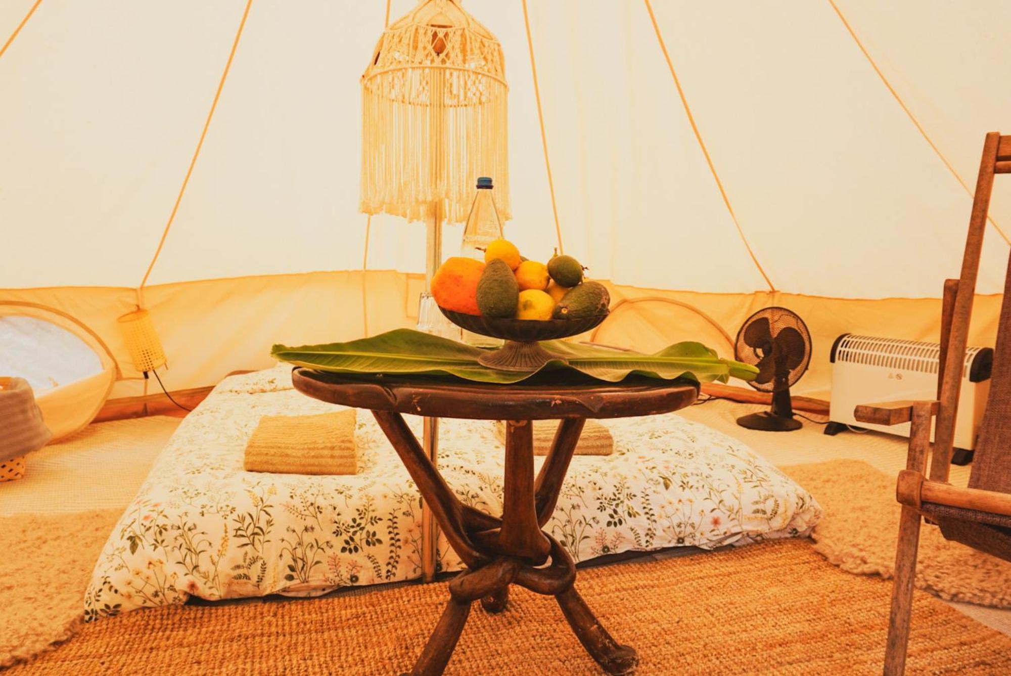 Yurt In Avocado Garden Ξενοδοχείο Güimar Εξωτερικό φωτογραφία