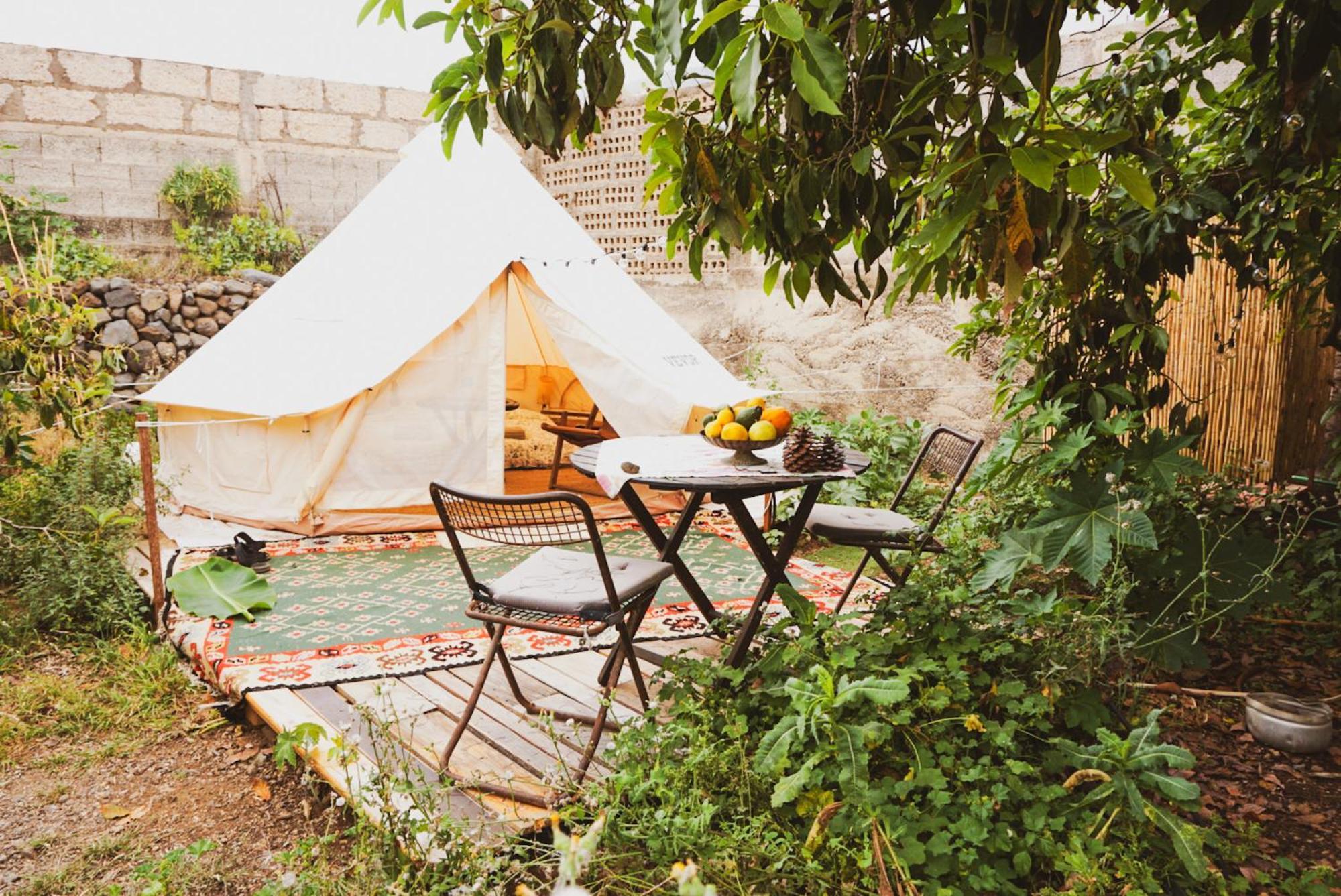 Yurt In Avocado Garden Ξενοδοχείο Güimar Εξωτερικό φωτογραφία